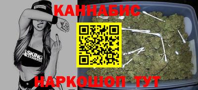 шишки Ачхой-Мартан