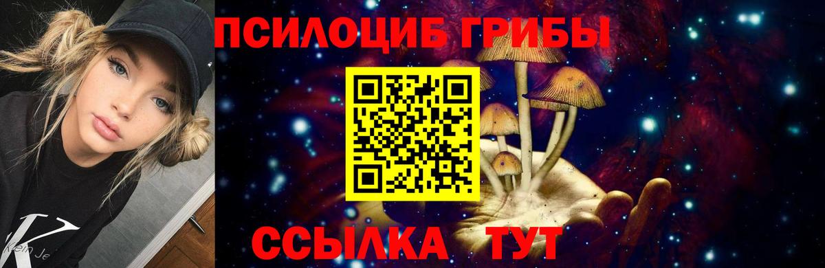 Псилоцибиновые грибы Psilocybine cubensis  Вход с VPN  Рассказово 